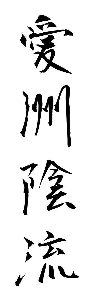 a1/a10020愛洲陰流aisukageryuu