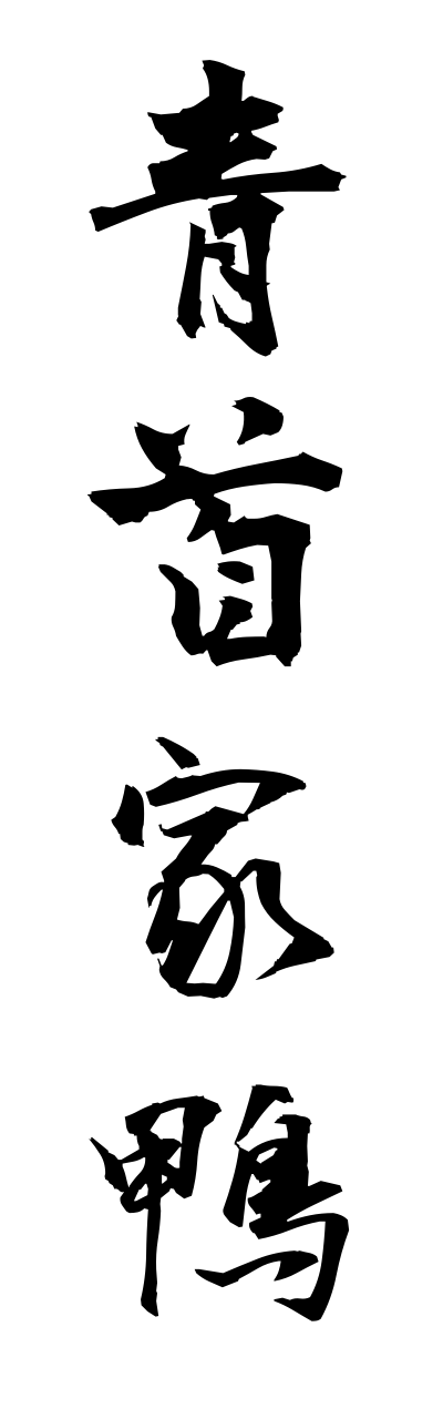 a1/a10050青首家鴨aokubiahiru