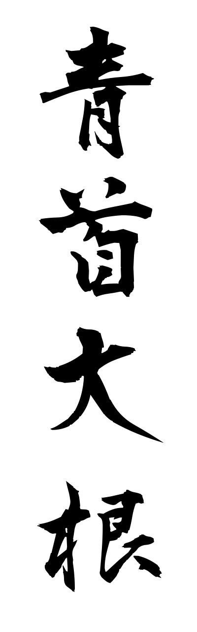 a1/a10051青首大根aokubidaikonn