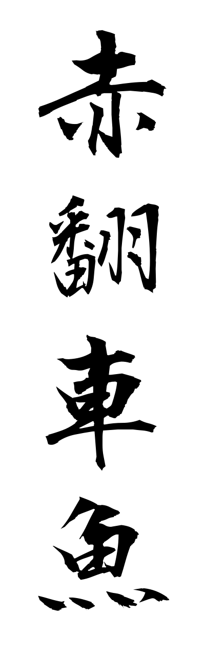 a1/a10095赤翻車魚akamannbou