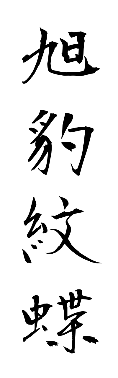 a1/a10157旭豹紋蝶asahihyoumonn