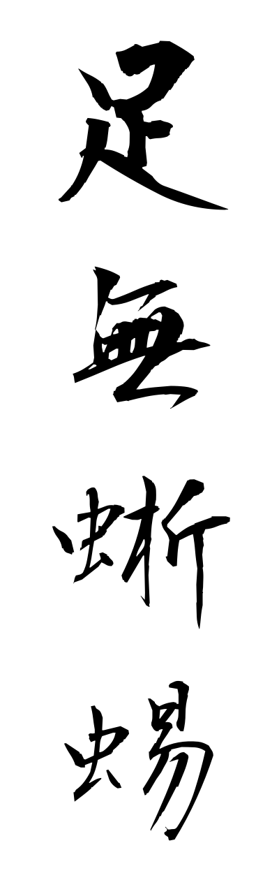a1/a10180足無蜥蜴ashinashitokage