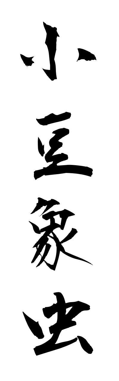 a1/a10193小豆象虫azukizoumushi