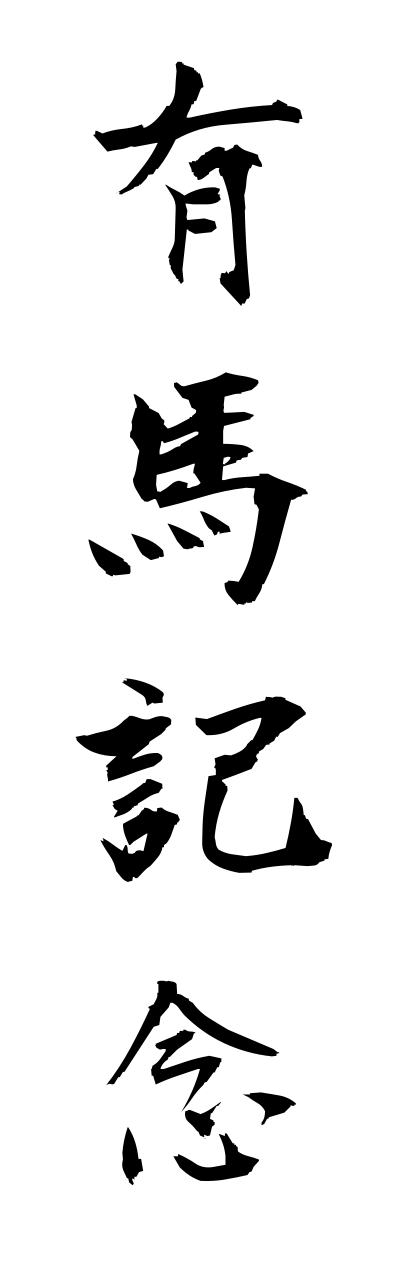 a1/a10289有馬記念arimakinenn