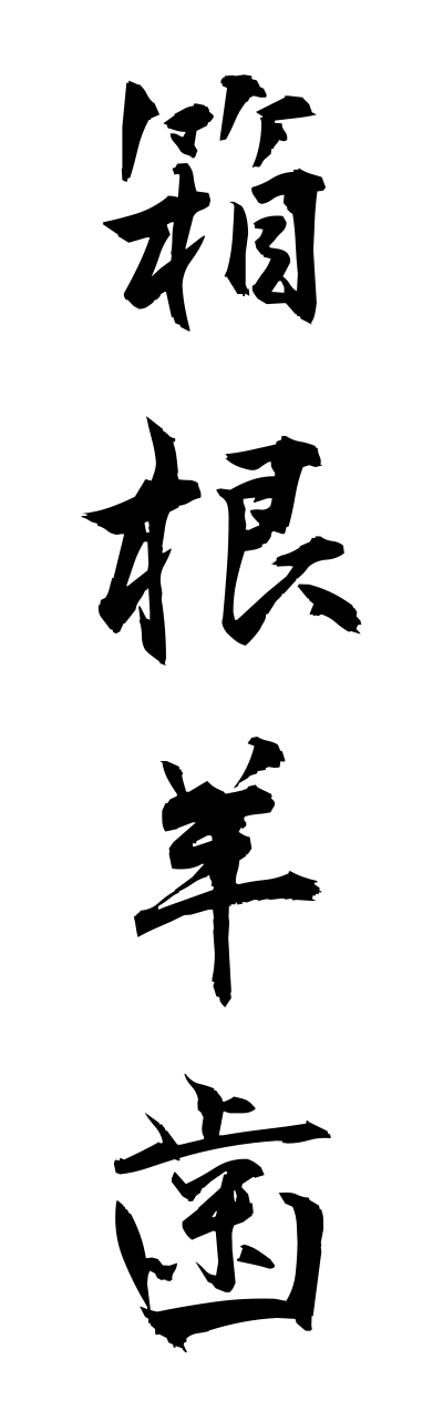 h1/h10109箱根羊歯hakoneshida