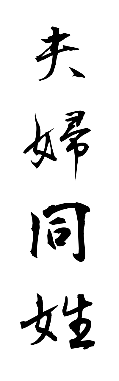 h3/h30026夫婦同姓fuufudousei