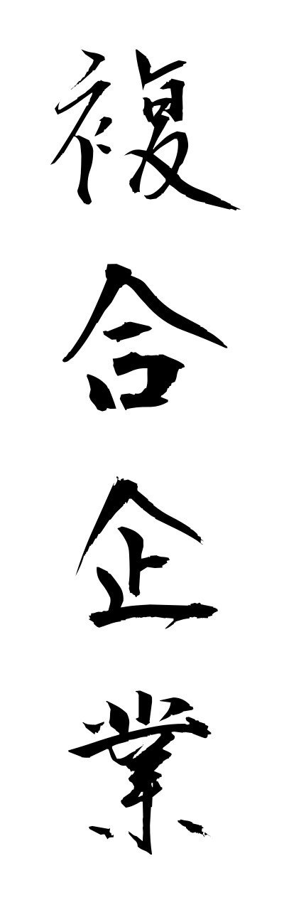 h3/h30074複合企業fukugoukigyou