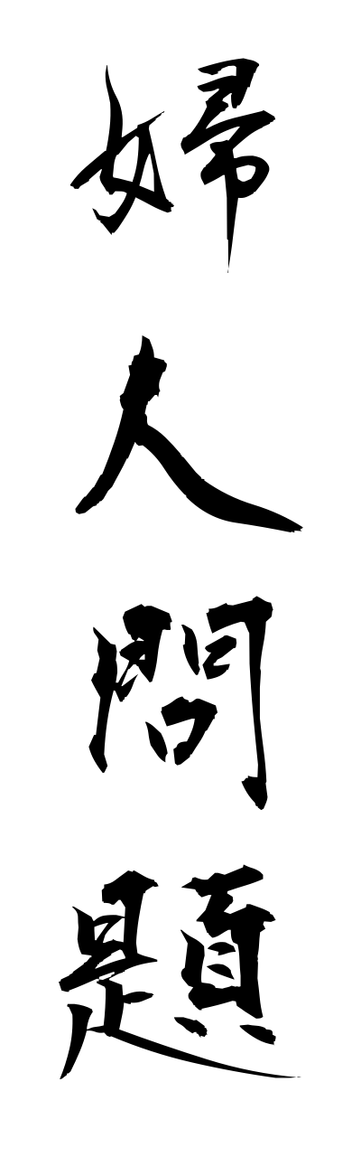 h3/h30169婦人問題fujinnmonndai