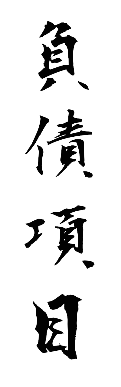 h3/h30333負債項目fusaikomoku