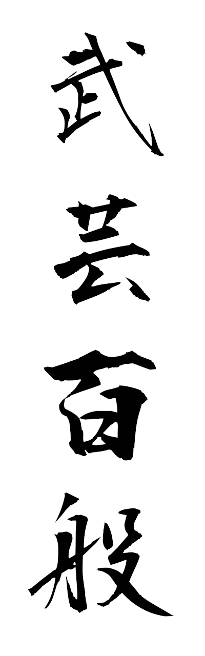 h3/h30379武芸百般bugeihyappan