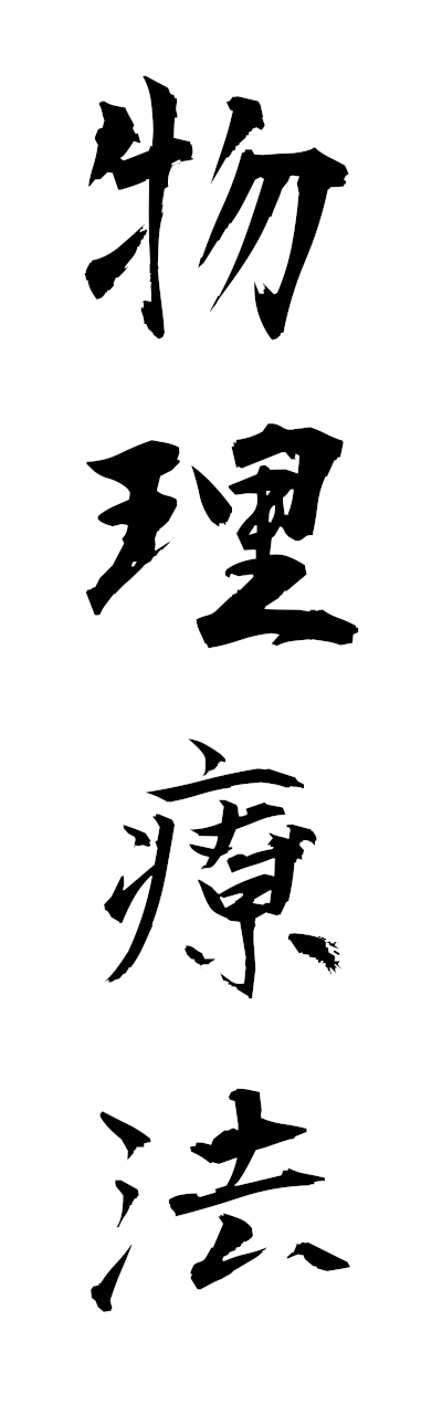 h3/h30446物理療法butsuriryoho