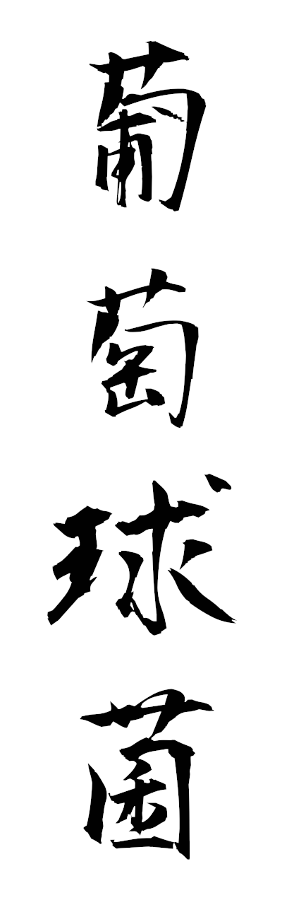 h3/h30455葡萄球菌budokyukin