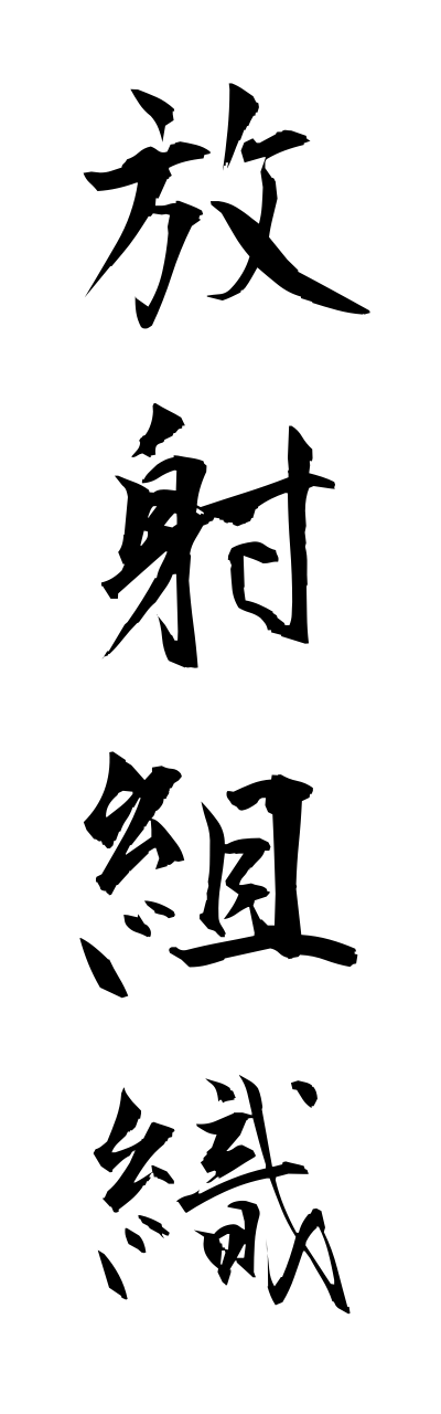 h5/h50068放射組織houshasoshiki