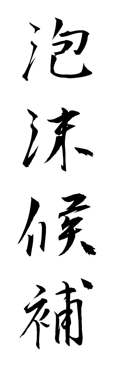 h5/h50138泡沫候補houmatsukouho