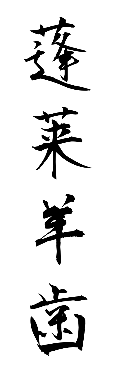 h5/h50150蓬莱羊歯houraishida