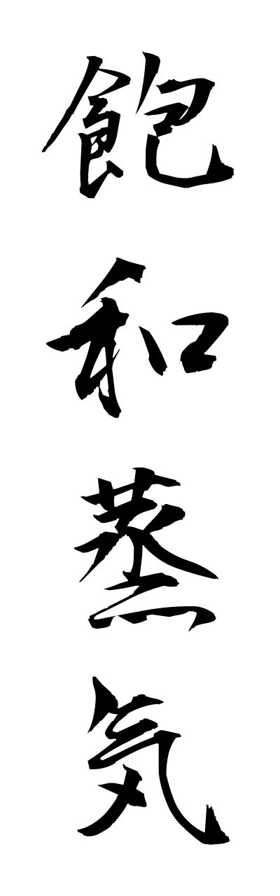 h5/h50166飽和蒸気houwajouki