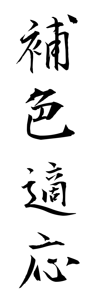 h5/h50239補色適応hoshokutekiou