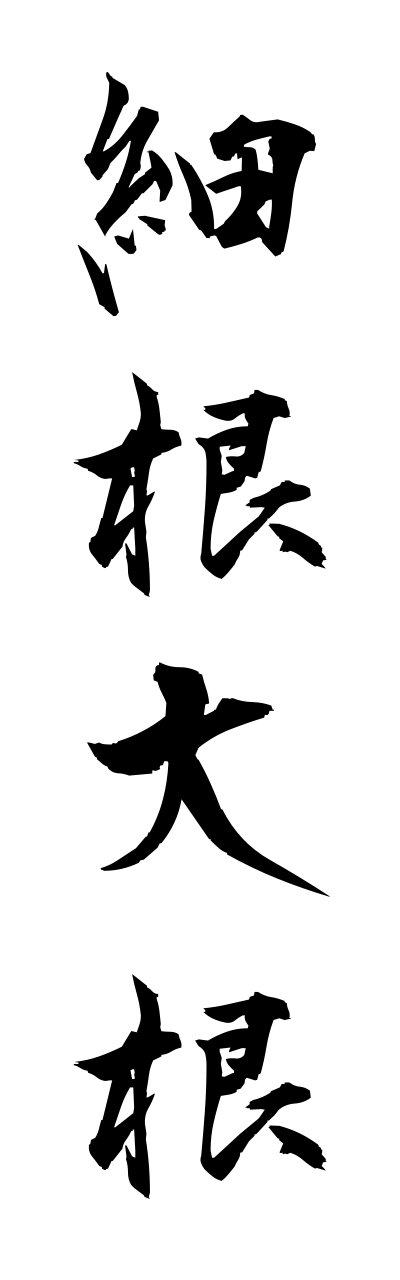 h5/h50257細根大根hosonedaikonn