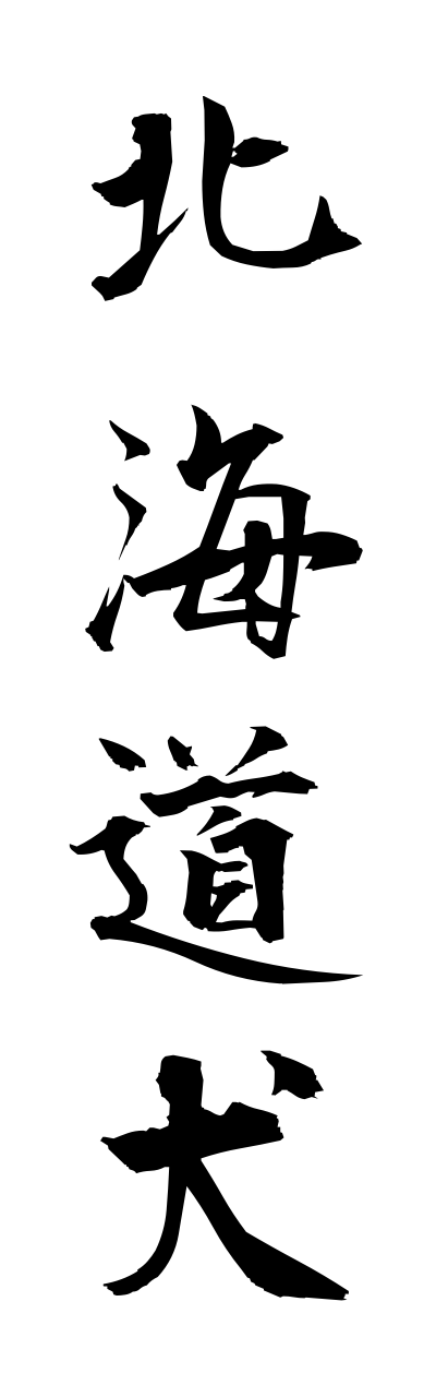 h5/h50263北海道犬hokkaidouinu