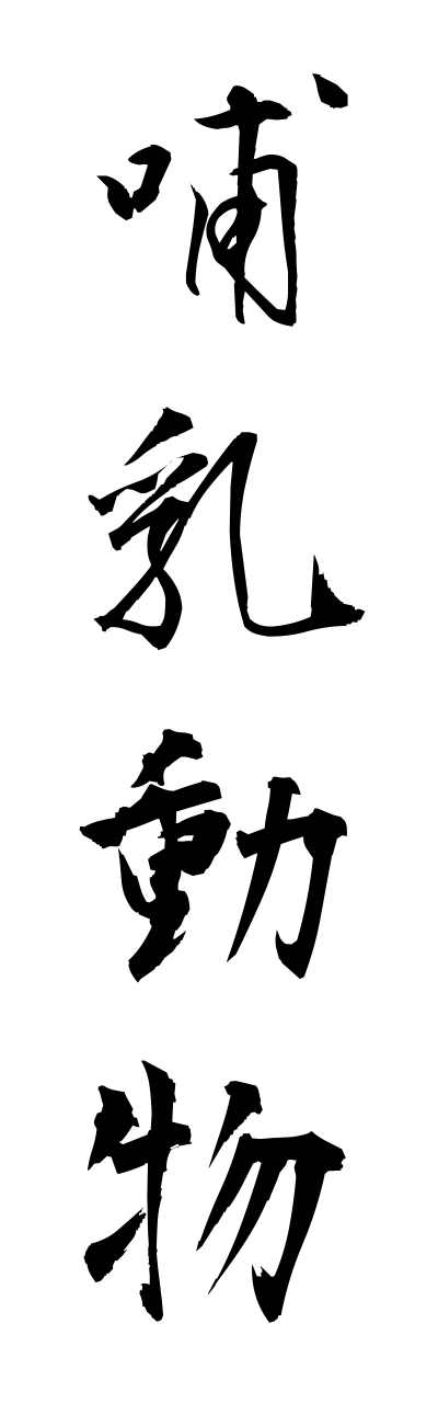 h5/h50280哺乳動物honyuudoubutsu