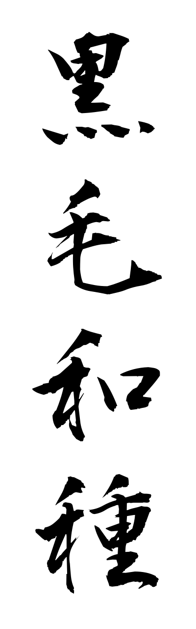 k3/k30151黒毛和種kurogewashu
