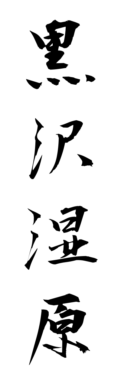 k3/k30155黒沢湿原kurozoushitsugenn