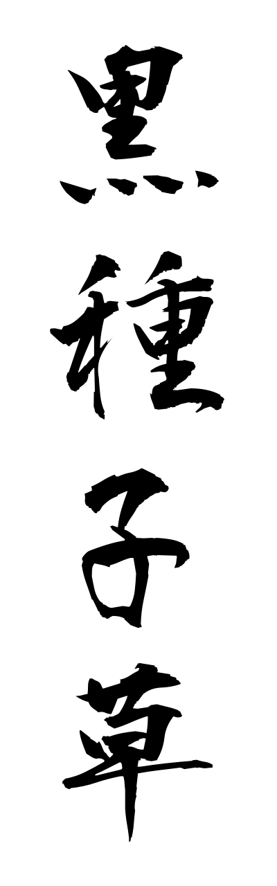 k3/k30156黒種子草kurotanesou