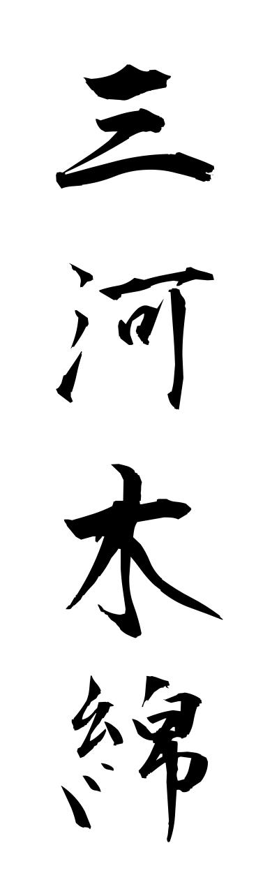 m2/m20019三河木綿mikawamomenn