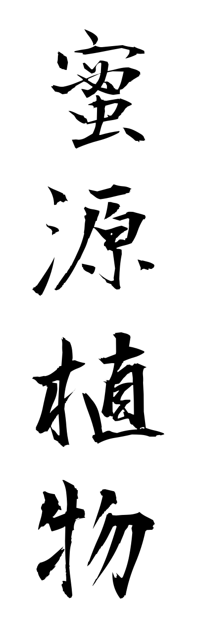 m2/m20062蜜源植物mitsugennshokubutsu