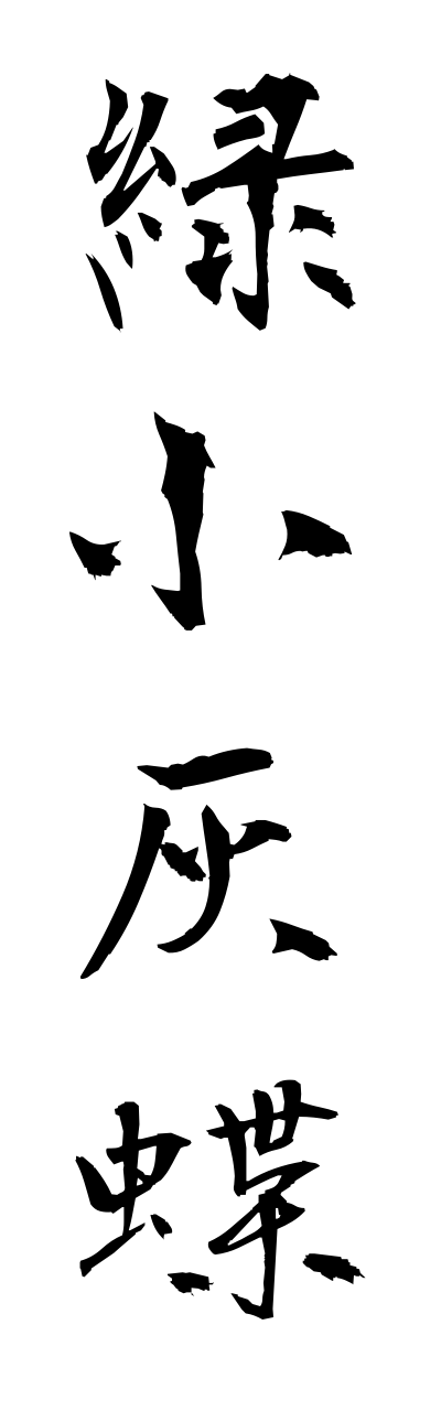 m2/m20079緑小灰蝶midorishijimi