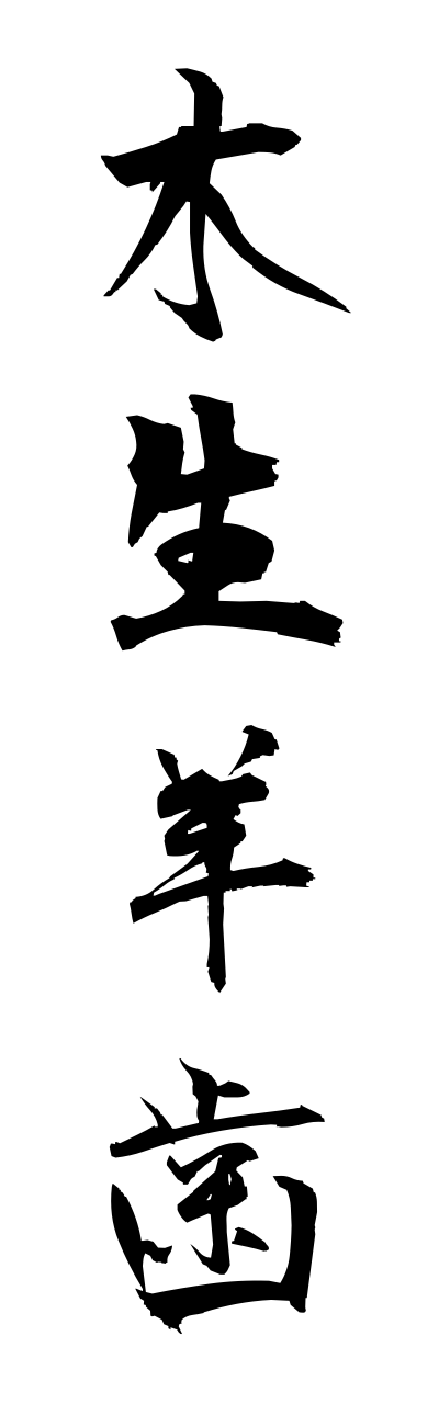 m5/m50014木生羊歯mokuseishida