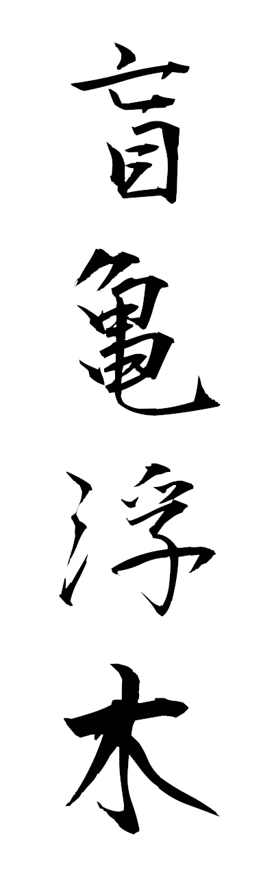 m5/m50062盲亀浮木mokifuboku