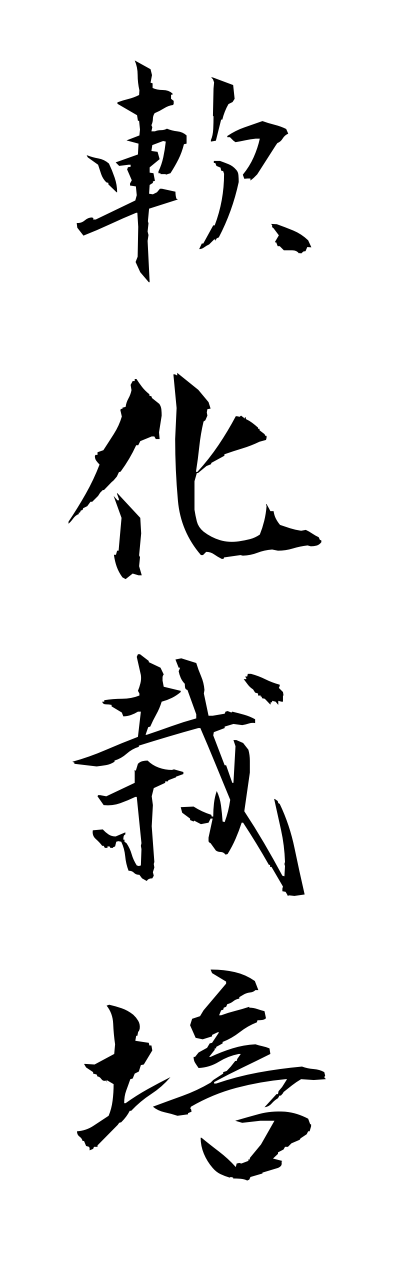 n1/n10153軟化栽培nannkasaibai