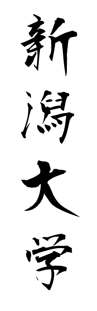 n2/n20008新潟大学niigatadaigaku