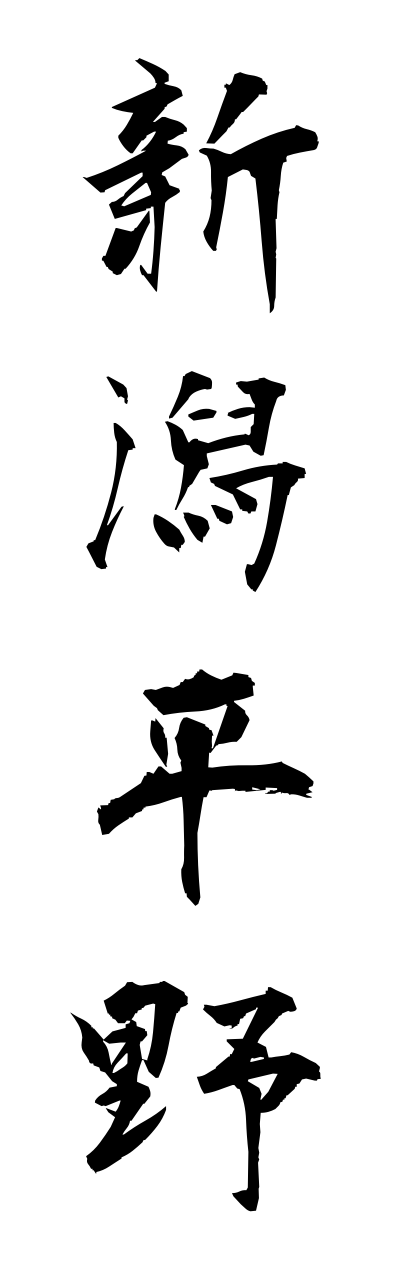 n2/n20009新潟平野niigataheiya