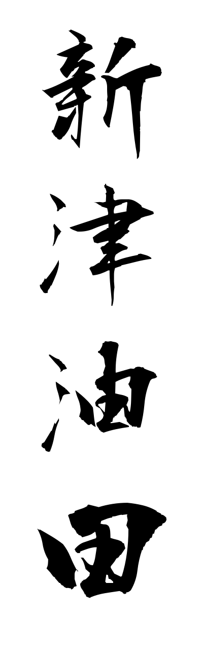 n2/n20011新津油田niitsuyuden