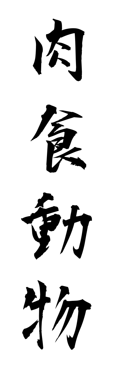 n2/n20020肉食動物nikushokudobutsu