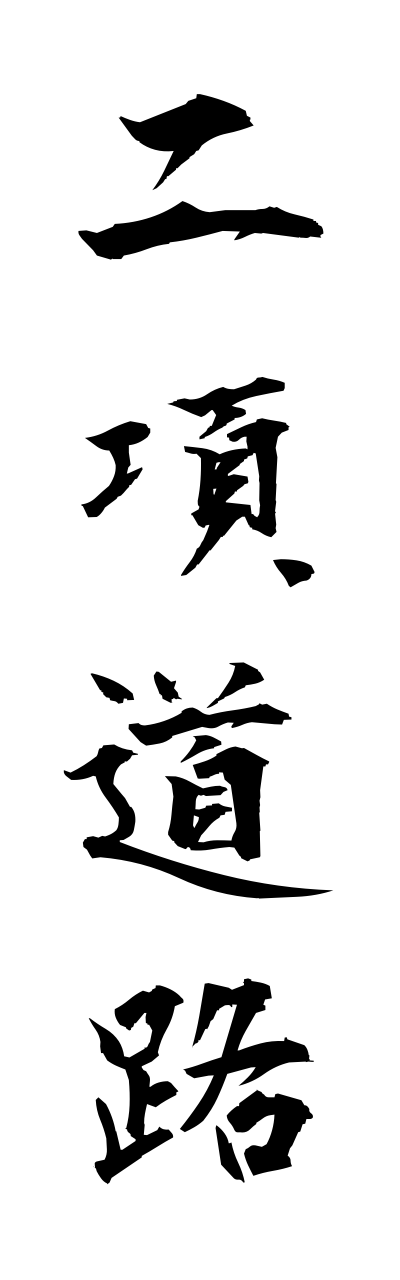 n2/n20028二項道路nikodoro