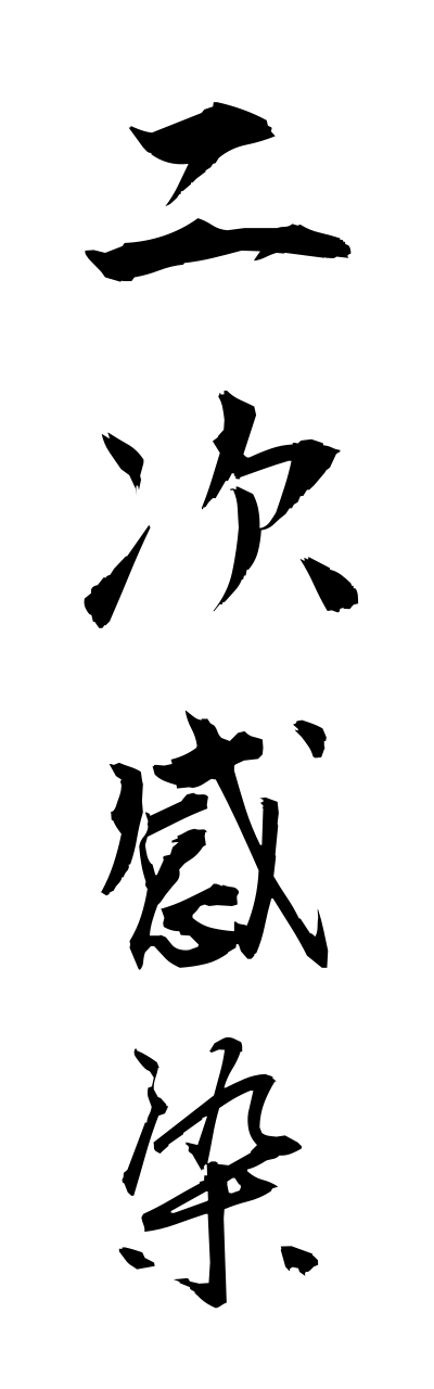 n2/n20034二次感染nijikansen