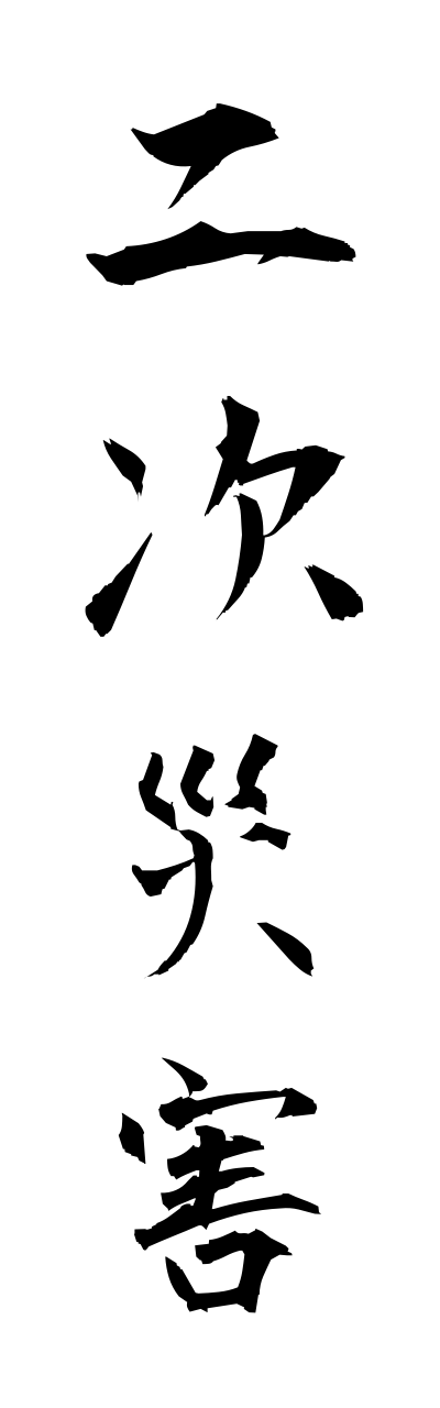 n2/n20040二次災害nijisaigai