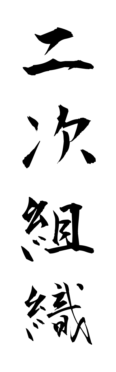 n2/n20043二次組織nijisoshiki