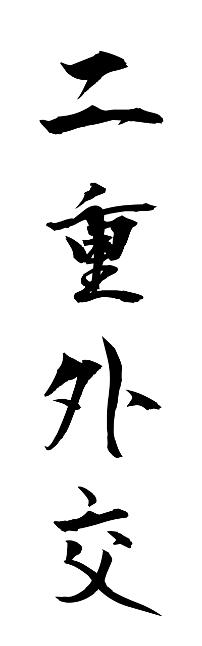 n2/n20055二重外交nijugaiko