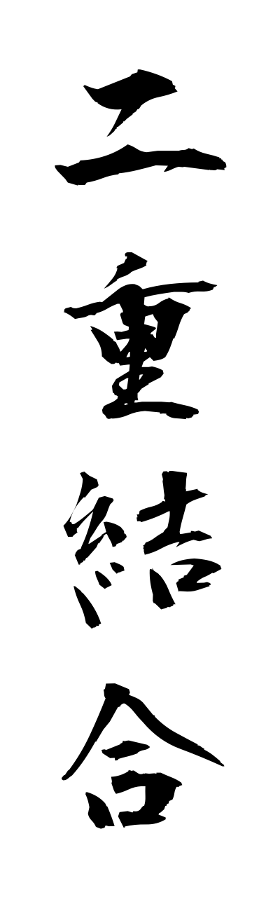 n2/n20060二重結合nijuketsugo