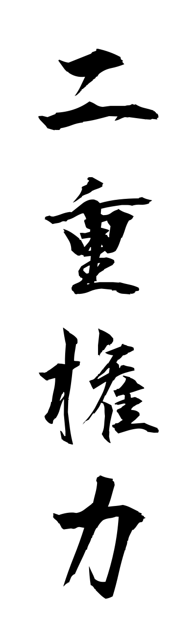 n2/n20061二重権力nijukenryoku