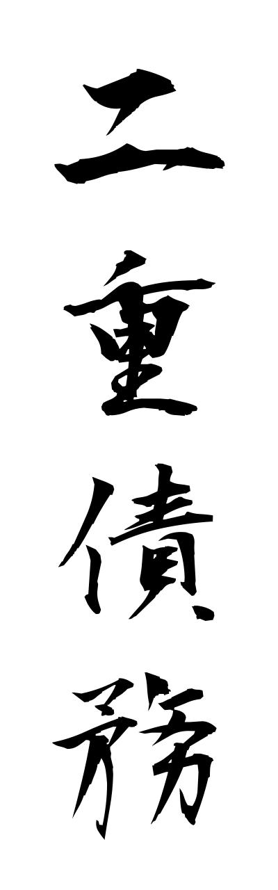 n2/n20066二重債務nijusaimu