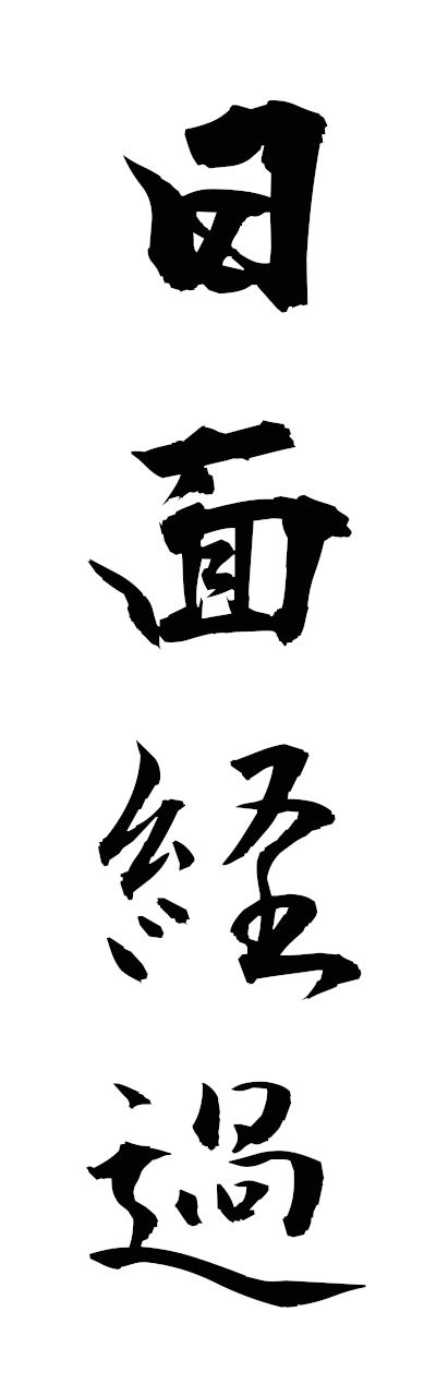 n2/n20084日面経過nichimentsuka