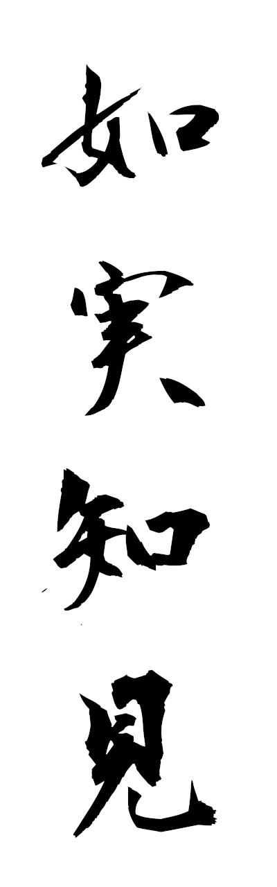 n2/n20099如実知見nyojitsuchiken