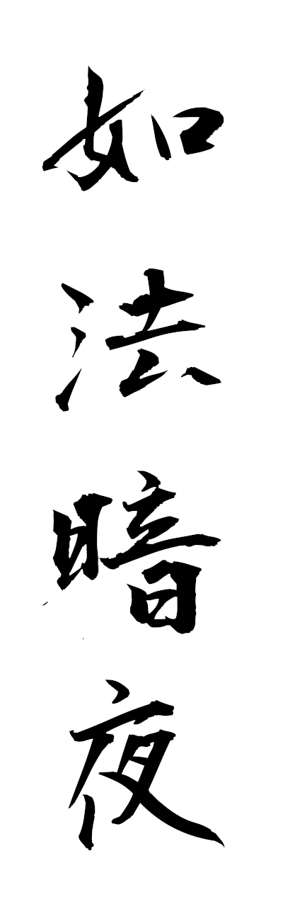 n2/n20101如法暗夜nyohoanya