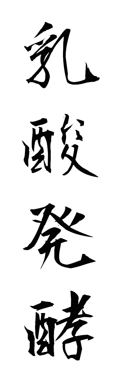 n2/n20120乳酸発酵nyusanhakko