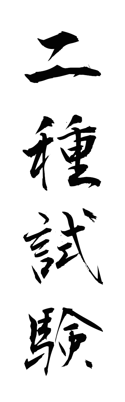 n2/n20158二種試験nishushiken